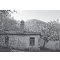 N� GOMSIQE Histori njer�zish mes maleve